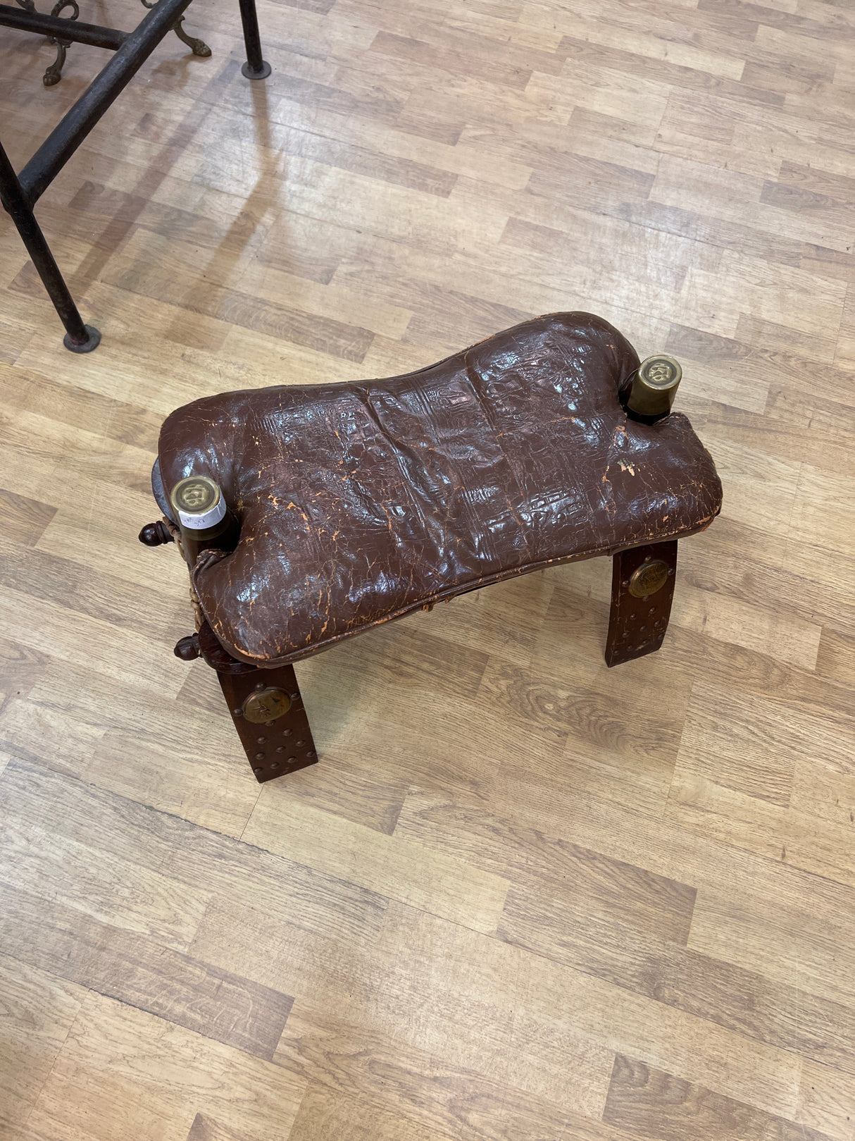 Kamelinsatula rahi😍 L. 60cm, S. 32cm ja K. 40cm